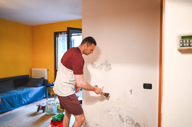 Best Basement Mold Remediation in Elkhorn City, KY